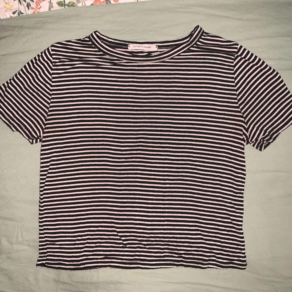 Caution To The Wind Black and White Cropped Fitted T-Shirt